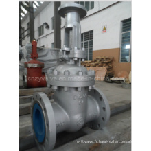 Dn200 Pn64 Wcb Worm Operated Gate Valve